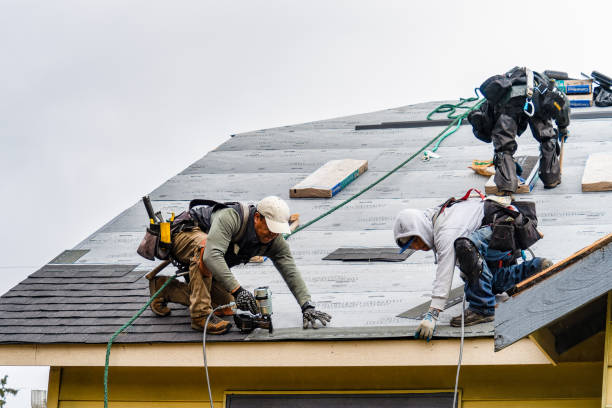 Professional Storm Damage Roof Repair technician working in Port Sanilac, MI